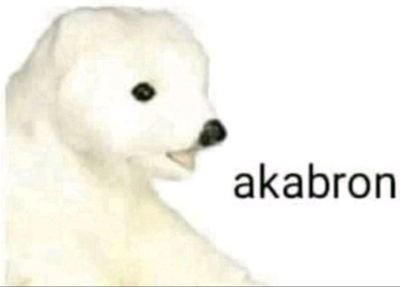 Xolotlatoani's profile picture. 