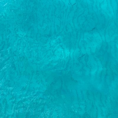 ezhalfi's profile picture. stocks