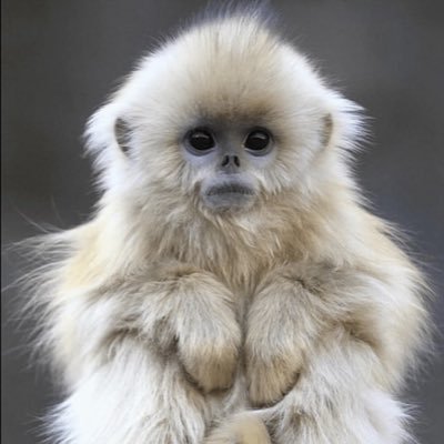 chadeamianto's profile picture. https://t.co/8F2GH7t6km