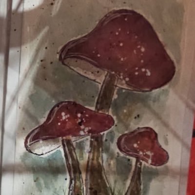 _NodeKeeper_'s profile picture. Neurospicy architect/developer who dabbles in blockchain, technology, finance and politics. Algorand. Founder of @LiquiSleuth