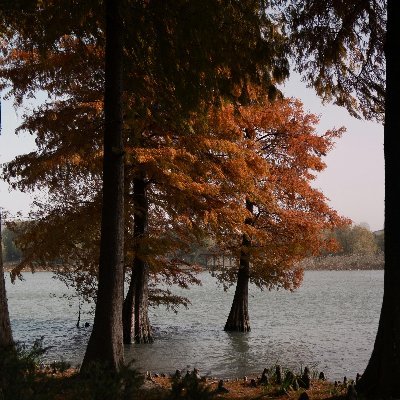 Value_1Pro's profile picture. 