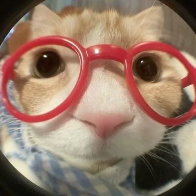 m2YUFvkyHo11191's profile picture. 