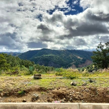 daca07's profile picture. 