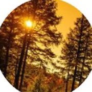 morgenfreemanwu's profile picture. Ben