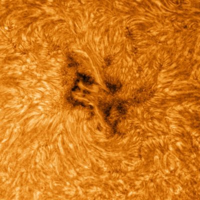 SPACEBLOCKER's profile picture. 🏳️‍🌈 | ☼☾