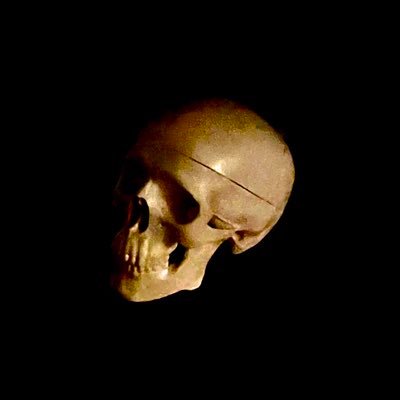 usercopyid's profile picture. 