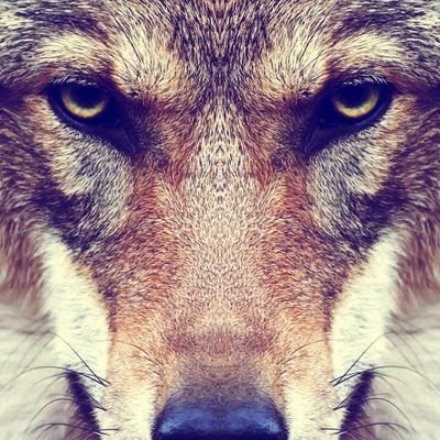 Baggi36343's profile picture. 