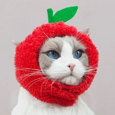 snazzors's profile picture. i love to post on the internet. dont take anything i say too seriously im just goofin around