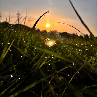 K_Kim54's profile picture. 