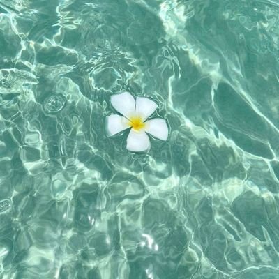 LuisMan97278635's profile picture. 