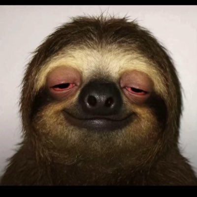 janiroundtrips's profile picture. 