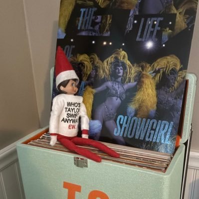 kelly_owl's profile picture. voting blue