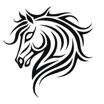 IAp9irnAKd91562's profile picture. wwwwwwwwww