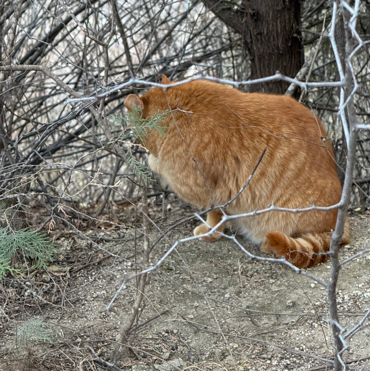 Fionai6qv's profile picture. 