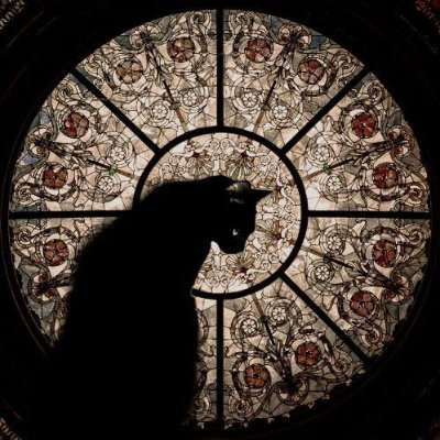 xcxzxczcz's profile picture. 