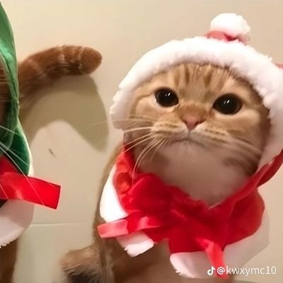 aaro12937's profile picture. 