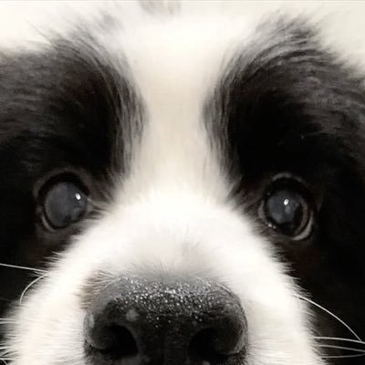 PIN3PERTH's profile picture. พาย (n.)