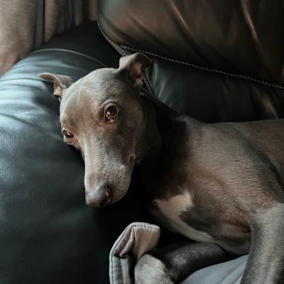 bailesw487's profile picture. ALLWAYS OWD SKOOW.PART TIMERS NEED NOT DON’T WANT 🖕SHOUT OUT THE ONE’S WHO CAN 🫵🌱🍀🌬️😶‍🌫️