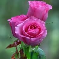 Amor7621258's profile picture. 