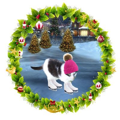 Isha_Cat_'s profile picture. Hi, I’m Isha. 💞🐾💞 Proud member of Hedgewatch 💞🌳 💞I have allergies so my face is sometimes sore 💞🐾💞⛔️No DM’s, money requests or NSFW ⛔️