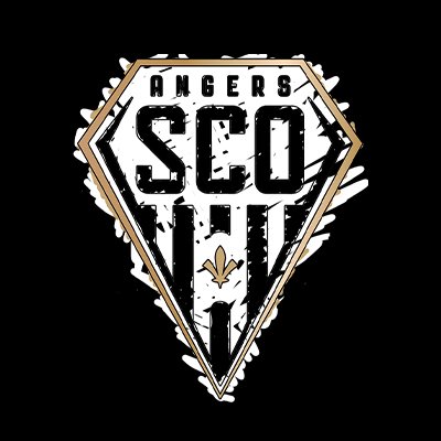 Angers SCO Profile