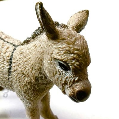 okawa70409184's profile picture. モーツァルト、シューマン、バルトーク、モートン・フェルドマンなどの音楽を愛す。レンブラント、ルドン、コロー，セザンヌなどの美術、リルケ，山中智恵子をはじめとする韻文。水辺、樹々、鳥たち。翳りに惹かれる。能、オペラ、バレエが好き。