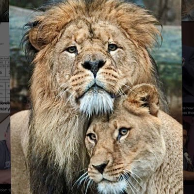 WrldOFNature's profile picture. The positive side of Nature