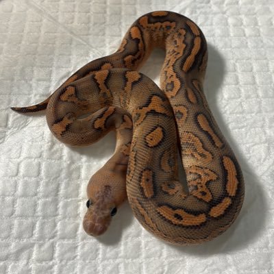 bnb5679's profile picture. 