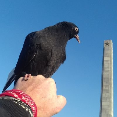 RealNobakhtAhad's profile picture. 🚨#ProtectMe©

#InternationalRelations #Rescuer #Donor #PhD #HealthCare #Pilot #Rally #Diving #Instructor #Referee #KungFu #Football #TableTennis #SABC© #S1©...