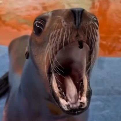 NatunaSanz's profile picture. Opinóloga gratis