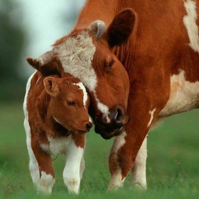 patric77357's profile picture. Oui Biologique