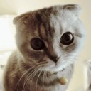 Tami - @TamiOrtega - Twitter