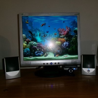 that_guy_gmod's profile picture. 17, fan of skate punk, guitarist, straight edge