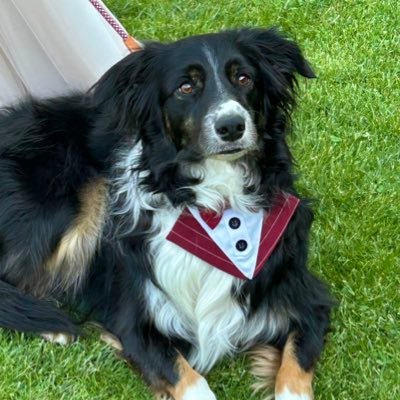 trizmouse's profile picture. News sobre películas, series y todo lo relacionado con Disney. Disneyland París es mi casa 🏰 Soy la loca de los funkos y los unboxing sorpresa