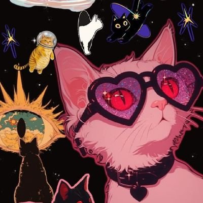 Zineb_h06's profile picture. 