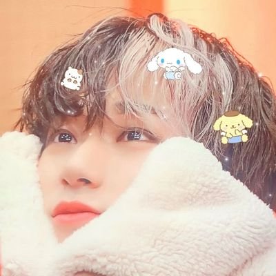 ahofszn's profile picture. 9️⃣ | 🦊🦝🐈‍⬛🐯 | ⛰️🐈‍⬛ | 🦁🥀🌹🐱 | '02 | EFAs | 08/30 |