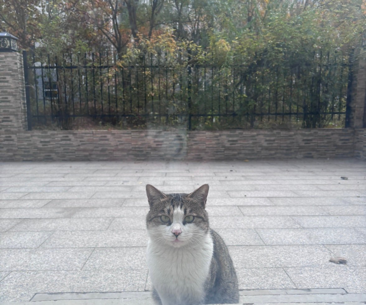 Ferz7747's profile picture. 