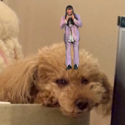 mr_niw2's profile picture. 格闘技 乃木坂 映画 お笑い 舘野さん