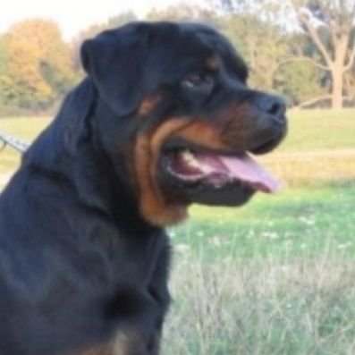 berakomnek59098's profile picture. 