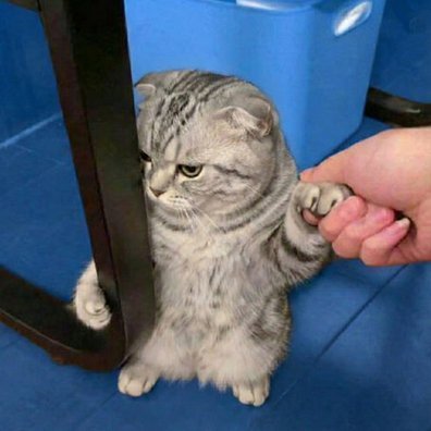 chstx64's profile picture. computer polymathe.
ctf w/@0xud2
- blogs: https://t.co/28TMHtvXyW https://t.co/vrQ2jqiPG0 https://t.co/RvWdcmVwAS