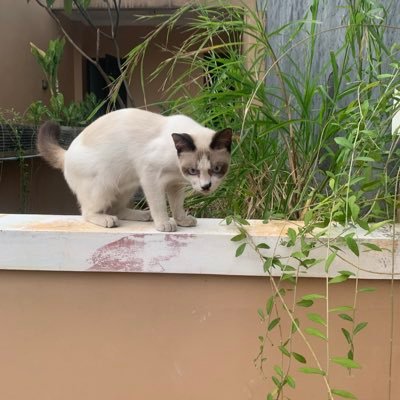 dusseldorf2026's profile picture. kita tidak saling kenal