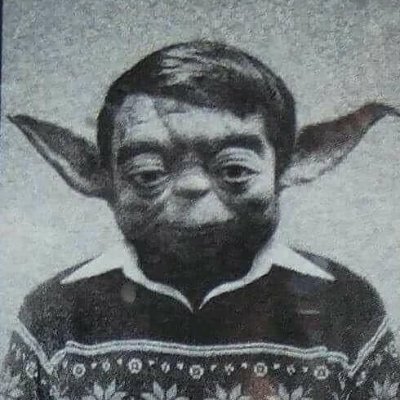 alexyango's profile picture. 18 / research / not active