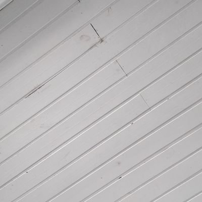 ClaudioSda24325's profile picture. 