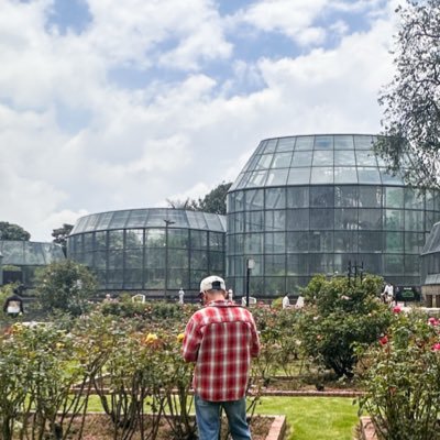 pensieridimauro's profile picture. Semper ad meliora.