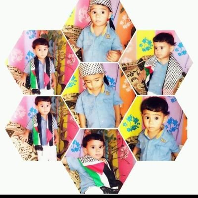 LwyHrb85606's profile picture. Gaza is suffocating... and the world is busy with the echo 💔