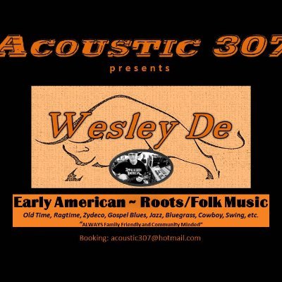 ACOUSTIC 307