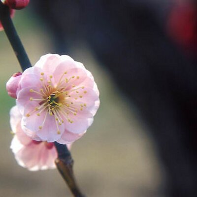 イタエミ A Twitter 訓練でうんこを食べる韓国軍 Http T Co Ou7cmbxv 韓国絵本 おいしいうんち Http T Co Nkvtojax 寝たきりのお婆さんに孫がうんこを食べさせようとする韓国の絵本 Http T Co P7rfpzwb 韓国終わった イタエミ A Twitter 訓練でうんこを食べる韓国軍 Http T Co Ou7cmbxv 韓国絵本 おいしいうんち Http T Co Nkvtojax 寝たきりのお婆さんに孫がうんこを食べさせようとする韓国の絵本 Http T Co P7rfpzwb 韓国終わった