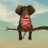 Tee_Davids's profile image