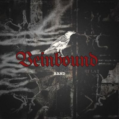 VEINBAND's profile picture. 정맥에 묶인: 𝙢𝙪𝙨𝙞𝙘 𝙧𝙪𝙣𝙨 𝙞𝙣 𝙤𝙪𝙧 𝙫𝙚𝙞𝙣𝙨. | 𝗕𝗢𝗥𝗡 𝗜𝗡 𝟮𝟬𝟮𝟱 ♫