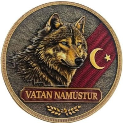 64Furkann's profile picture. KURTBEY